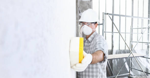 Professional Mold Removal & Remediation in Mineola, NY