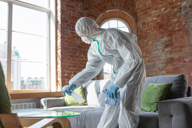 Environmental Consulting for Mold Prevention in Mineola, NY